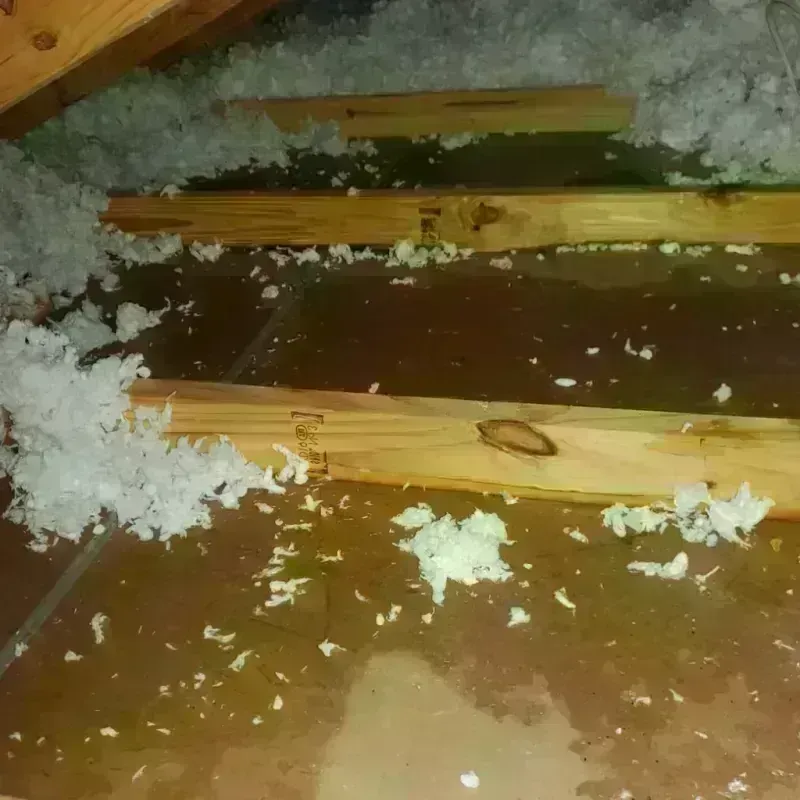 Best Attic Water Damage Service in Salisbury, NH