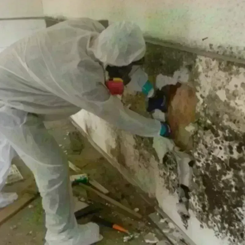 Mold Remediation and Removal in Salisbury, NH